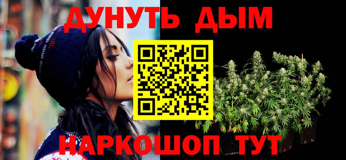 Конопля сатива Якутск